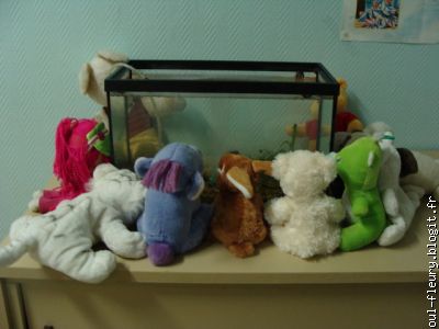 visite de l'aquarium